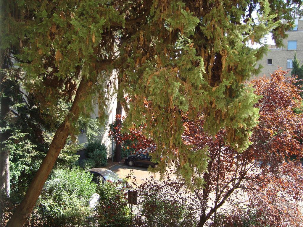 Villa Sciarra Roma Phòng bức ảnh